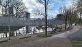 Ecologische begeleiding vleermuisschermen Westersingel.