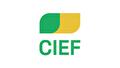 Projectbureau CIEF.